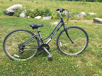 Adult hybrid bike rentals