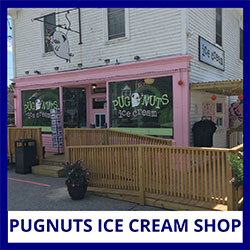 Pugnuts Ice Cream